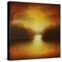 Luminance-Jason Javara-Stretched Canvas