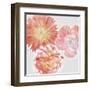 Luminescent Blooms-null-Framed Giclee Print