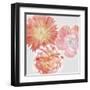 Luminescent Blooms-null-Framed Giclee Print