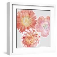 Luminescent Blooms-null-Framed Giclee Print