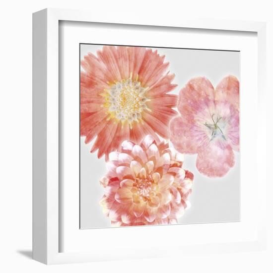 Luminescent Blooms-null-Framed Giclee Print