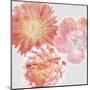 Luminescent Blooms-null-Mounted Giclee Print