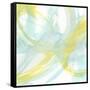 Luminosity VI-J. Holland-Framed Stretched Canvas