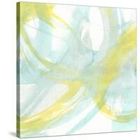 Luminosity VI-J. Holland-Stretched Canvas