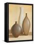 Luminous II-Arlene Stevens-Framed Stretched Canvas