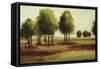 Luminous Landscape-Randy Hibberd-Framed Stretched Canvas