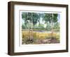 Luminous Meadow I-Tim O'toole-Framed Art Print