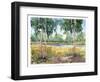 Luminous Meadow I-Tim O'toole-Framed Art Print