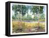 Luminous Meadow I-Tim O'toole-Framed Stretched Canvas