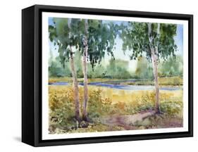 Luminous Meadow I-Tim O'toole-Framed Stretched Canvas