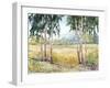 Luminous Meadow II-Tim O'toole-Framed Art Print