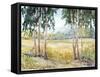 Luminous Meadow II-Tim O'toole-Framed Stretched Canvas