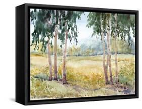 Luminous Meadow II-Tim O'toole-Framed Stretched Canvas
