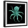 Luminous Octopus-Albert Koetsier-Framed Premium Giclee Print