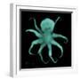 Luminous Octopus-Albert Koetsier-Framed Premium Giclee Print