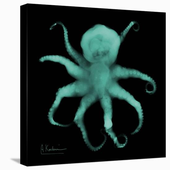Luminous Octopus-Albert Koetsier-Stretched Canvas