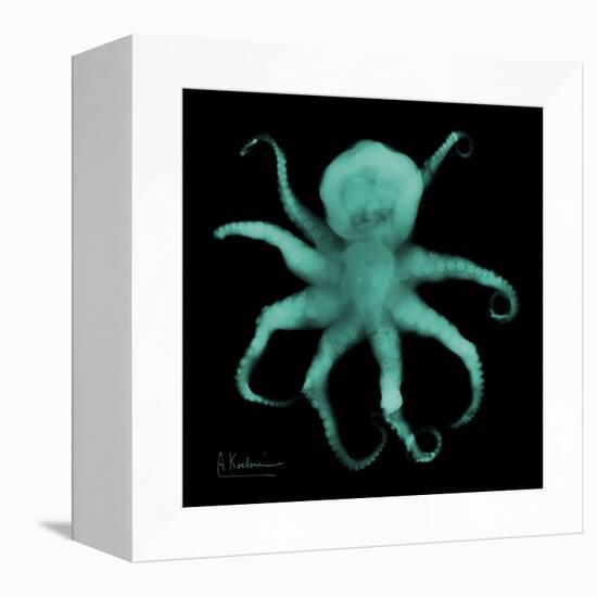 Luminous Octopus-Albert Koetsier-Framed Stretched Canvas