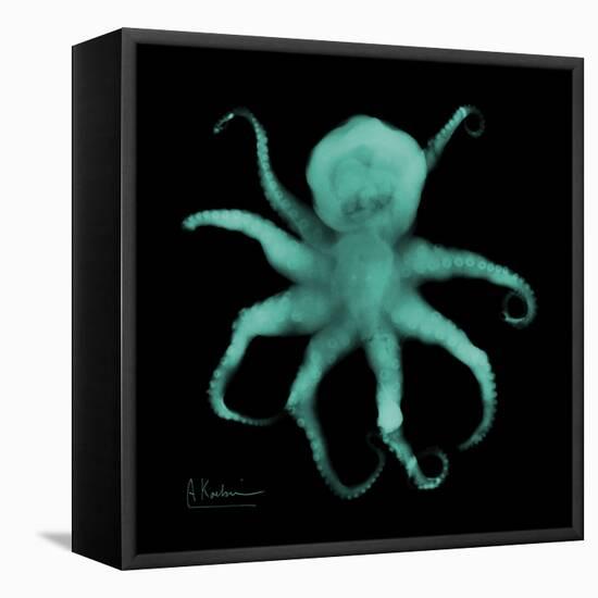 Luminous Octopus-Albert Koetsier-Framed Stretched Canvas