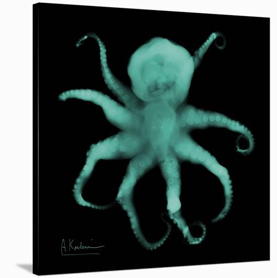 Luminous Octopus-Albert Koetsier-Stretched Canvas