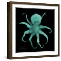 Luminous Octopus-Albert Koetsier-Framed Art Print