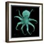 Luminous Octopus-Albert Koetsier-Framed Art Print