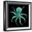 Luminous Octopus-Albert Koetsier-Framed Art Print