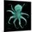 Luminous Octopus-Albert Koetsier-Mounted Art Print