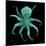 Luminous Octopus-Albert Koetsier-Mounted Art Print