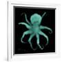 Luminous Octopus-Albert Koetsier-Framed Premium Giclee Print