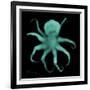 Luminous Octopus-Albert Koetsier-Framed Premium Giclee Print