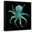 Luminous Octopus-Albert Koetsier-Framed Stretched Canvas