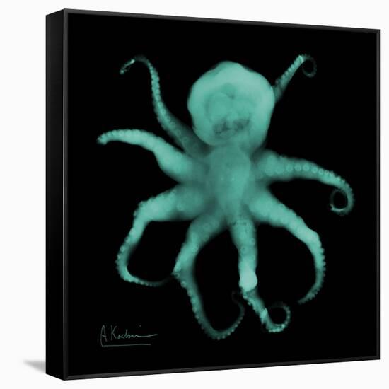 Luminous Octopus-Albert Koetsier-Framed Stretched Canvas