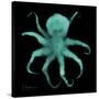 Luminous Octopus-Albert Koetsier-Stretched Canvas