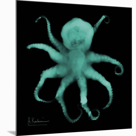 Luminous Octopus-Albert Koetsier-Mounted Art Print