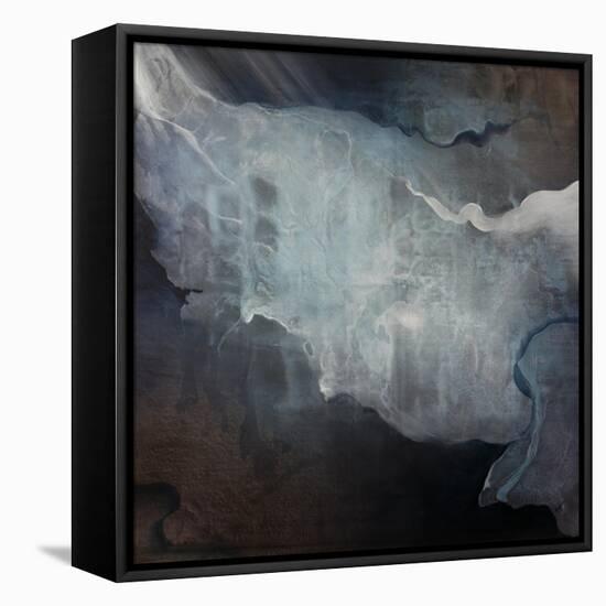 Luminous-Kari Taylor-Framed Stretched Canvas