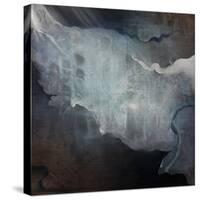 Luminous-Kari Taylor-Stretched Canvas