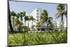 Lummus Park, Park Central Hotel, Ocean Terrace, Miami South Beach, Art Deco District, Florida, Usa-Axel Schmies-Mounted Photographic Print