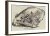 Lump of Gold from California, Value £500-null-Framed Giclee Print