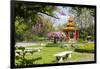 Lumphini Park, Ratchadamri Road, Bangkok, Thailand, Southeast Asia, Asia-Frank Fell-Framed Photographic Print