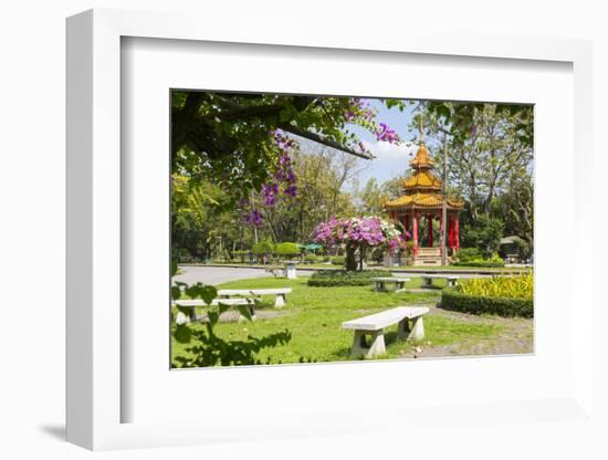 Lumphini Park, Ratchadamri Road, Bangkok, Thailand, Southeast Asia, Asia-Frank Fell-Framed Photographic Print