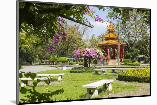 Lumphini Park, Ratchadamri Road, Bangkok, Thailand, Southeast Asia, Asia-Frank Fell-Mounted Photographic Print