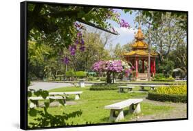 Lumphini Park, Ratchadamri Road, Bangkok, Thailand, Southeast Asia, Asia-Frank Fell-Framed Stretched Canvas