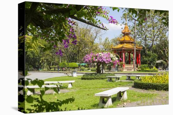 Lumphini Park, Ratchadamri Road, Bangkok, Thailand, Southeast Asia, Asia-Frank Fell-Stretched Canvas