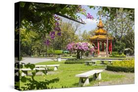 Lumphini Park, Ratchadamri Road, Bangkok, Thailand, Southeast Asia, Asia-Frank Fell-Stretched Canvas