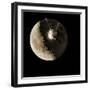 Luna 1 Spacecraft At the Moon, 1959-Detlev Van Ravenswaay-Framed Photographic Print