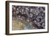 Luna Agate, Mexico-Darrell Gulin-Framed Photographic Print