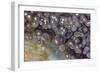 Luna Agate, Mexico-Darrell Gulin-Framed Photographic Print