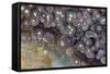 Luna Agate, Mexico-Darrell Gulin-Framed Stretched Canvas