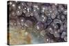 Luna Agate, Mexico-Darrell Gulin-Stretched Canvas