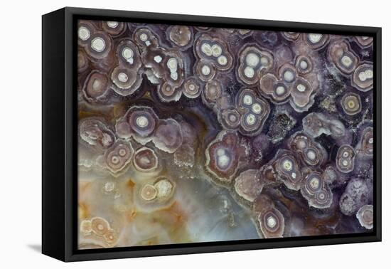 Luna Agate, Mexico-Darrell Gulin-Framed Stretched Canvas